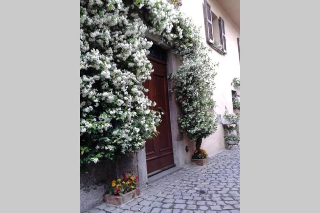 Willa Il Gelsomino Di Isia Orvieto Zewnętrze zdjęcie