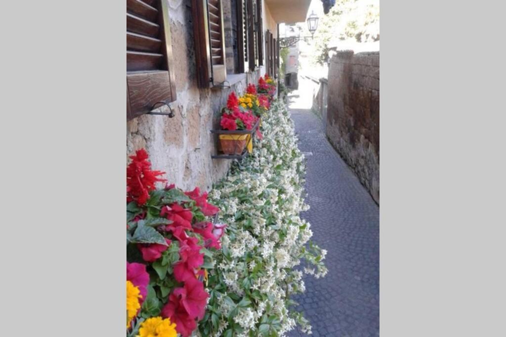 Willa Il Gelsomino Di Isia Orvieto Zewnętrze zdjęcie