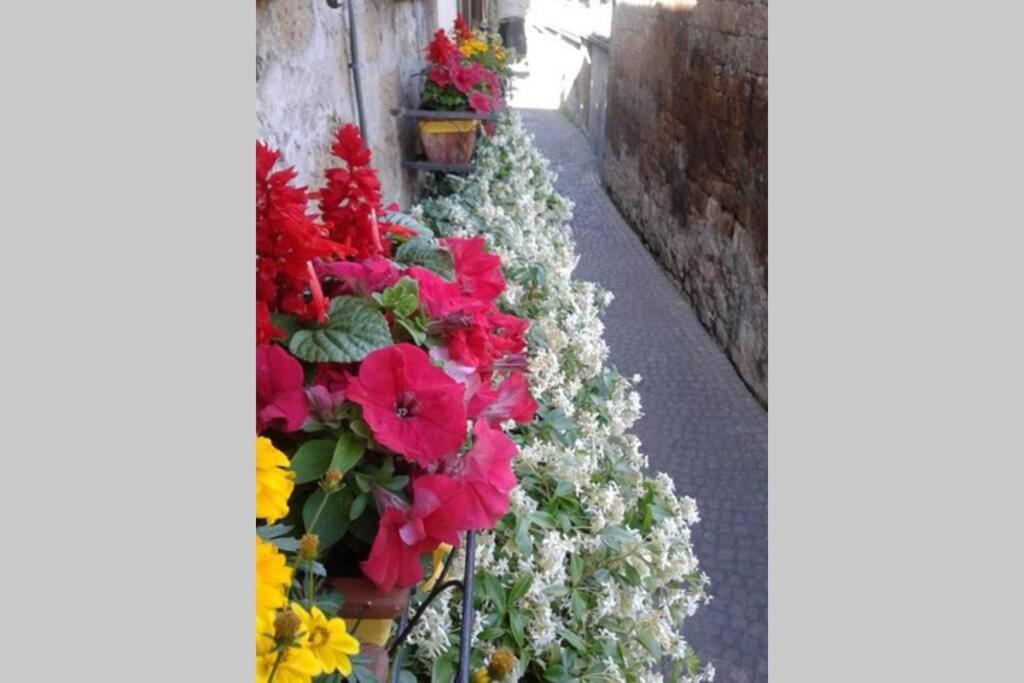 Willa Il Gelsomino Di Isia Orvieto Zewnętrze zdjęcie